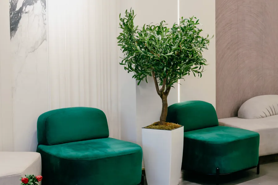 Skydental clinic interior in Tirana — modern waiting area